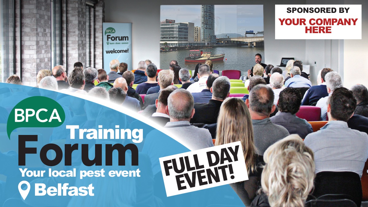 Belfast hero Belfast hero