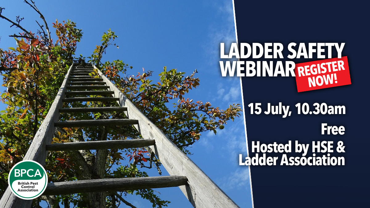 New Ladder Safety Guidance Announced