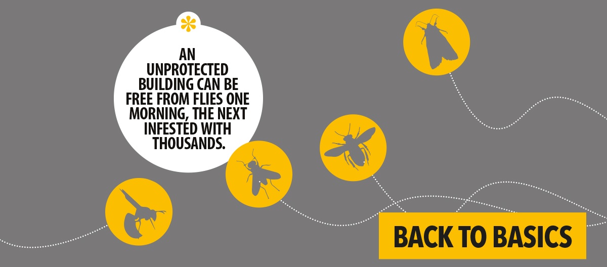 Back to Basics: Flying insect control and IPM