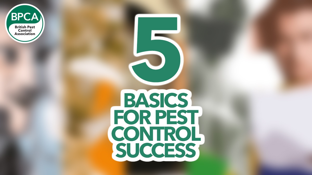 5 basics for pest control success