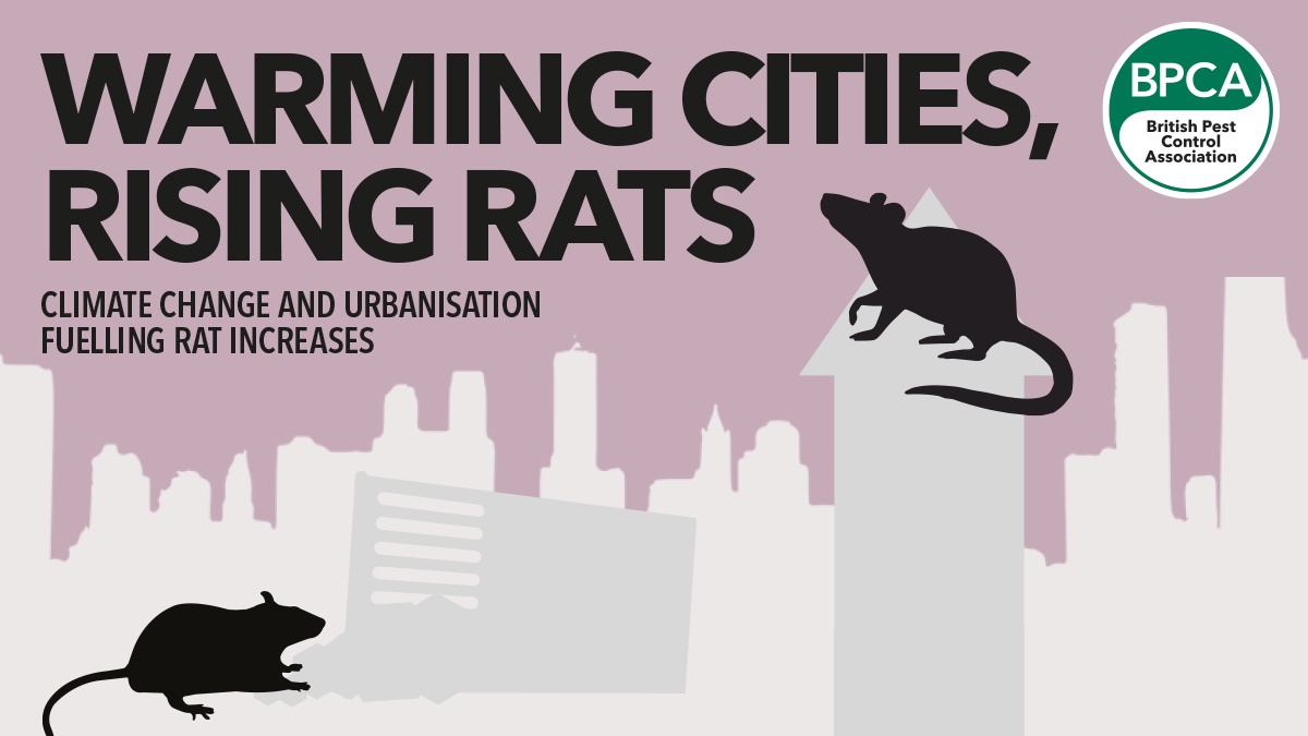 Warming cities, rising rats: climate change and urbanisation fuelling ...