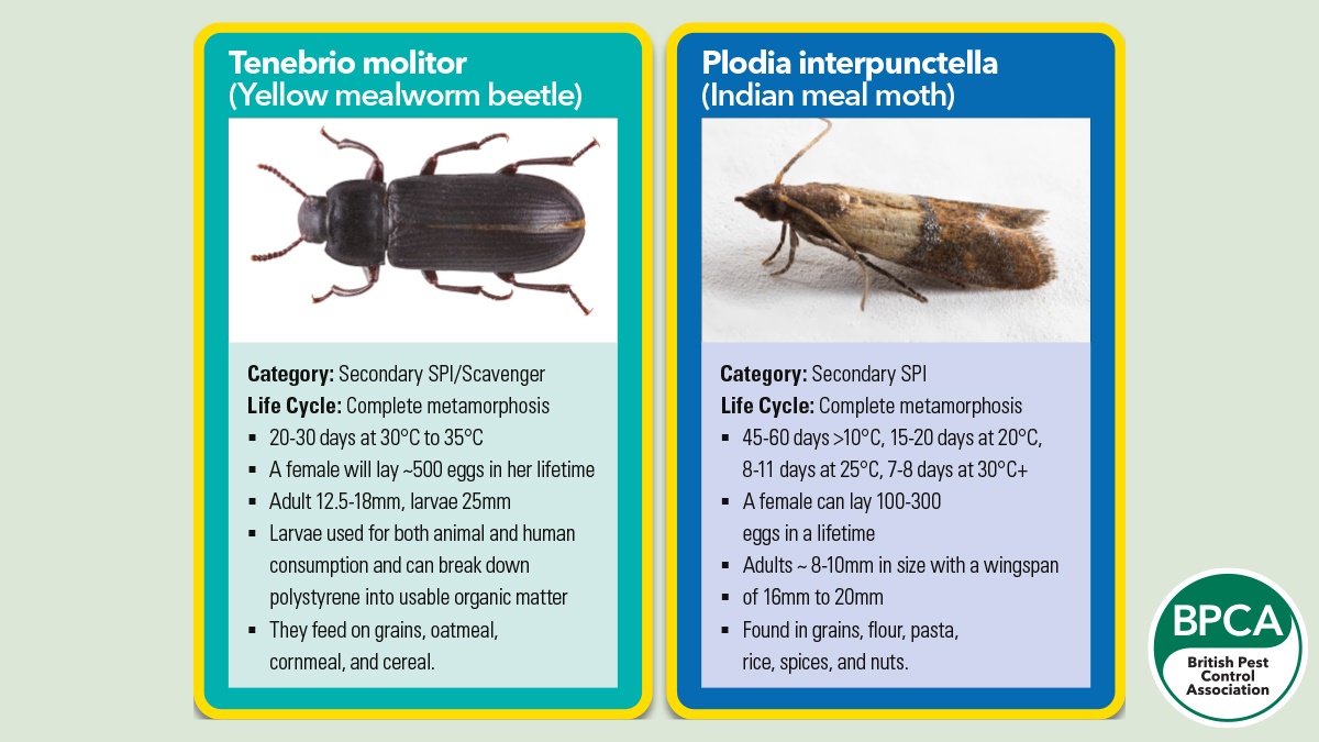 Battling Stored Product Insect (SPI) infestations