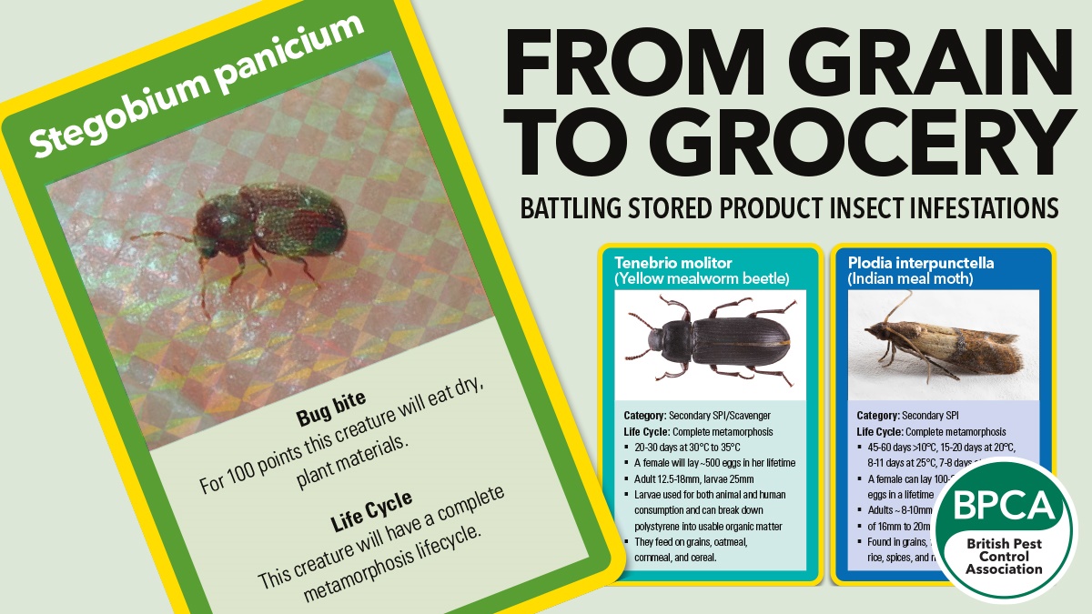 Battling Stored Product Insect (SPI) infestations